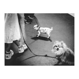 street photography BW Berlin