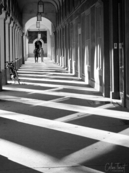 Strassenfotografie und Urbane Geometrie - Hofgarten München Schattenspiel