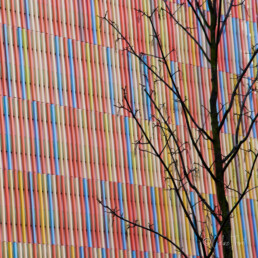 Photo project Munich Autrement