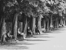 Photo project Munich Autrement