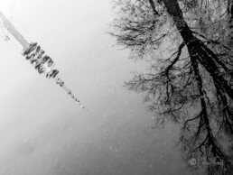 Photo project Munich Autrement